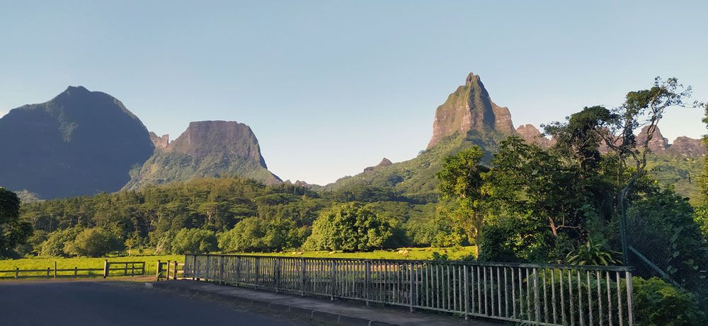 Partez découvrir Moorea avec l'un de nos guides locaux